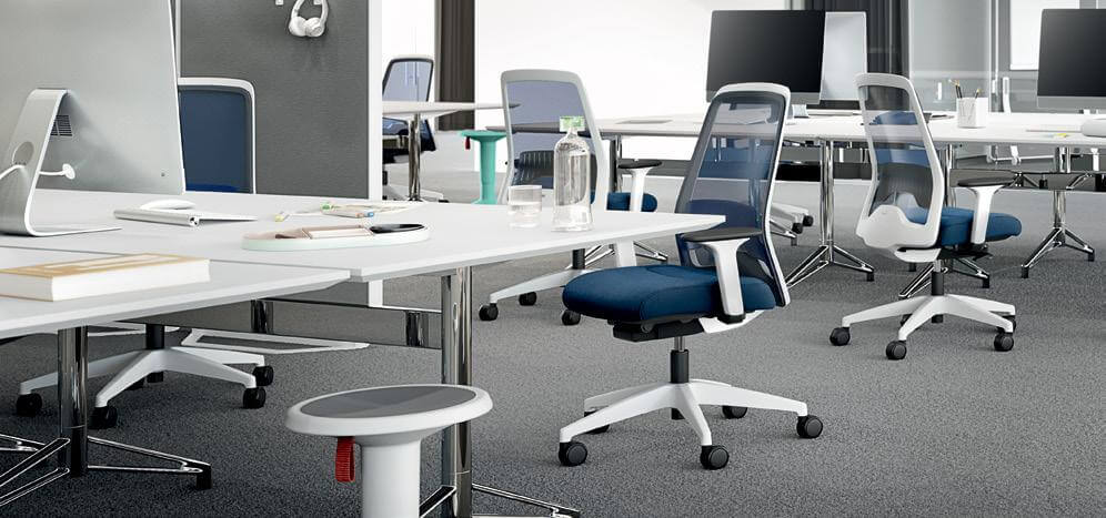 Ergonomic office setup with adjustable tables and chairs for comfort