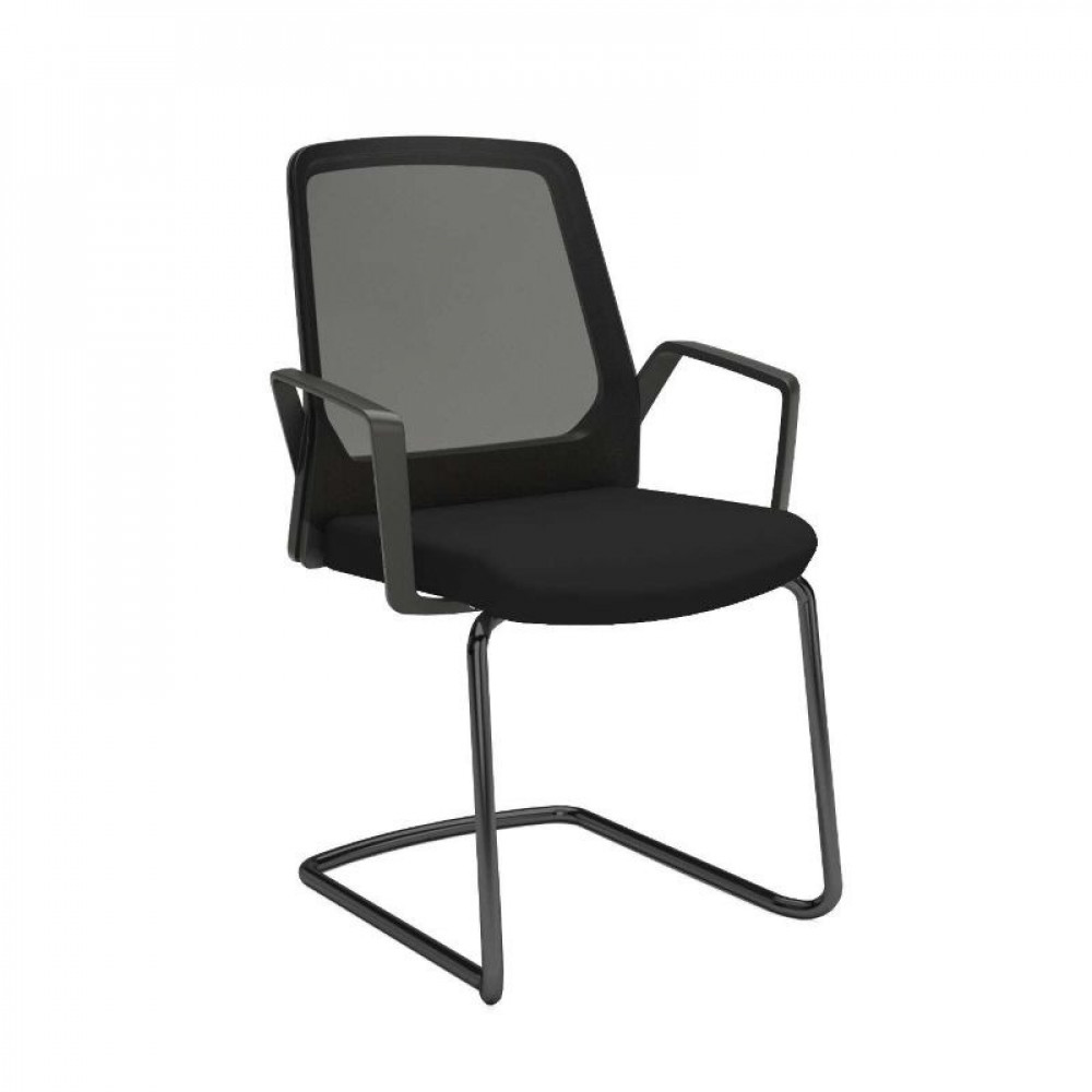 Interstuhl Cantilever Frame Chair with Armrests